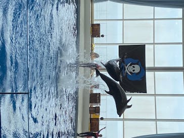 アクアワールド茨城県大洗水族館に投稿された画像（2020/8/18）