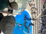 仙台うみの杜水族館に投稿された画像（2020/8/18）