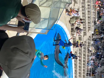 仙台うみの杜水族館に投稿された画像（2020/8/18）