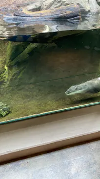 仙台うみの杜水族館に投稿された画像（2020/8/18）