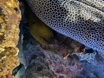 仙台うみの杜水族館に投稿された画像（2020/8/18）