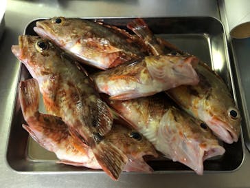 海島遊民くらぶに投稿された画像（2020/8/18）