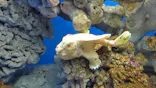 仙台うみの杜水族館に投稿された画像（2020/8/18）