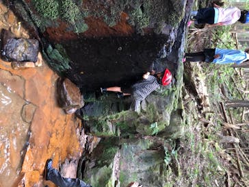 赤目四十八滝エコツアーデスクに投稿された画像（2020/8/18）