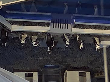 四国水族館に投稿された画像（2020/8/18）