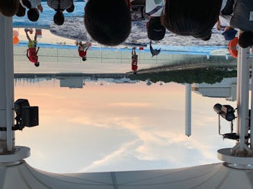 四国水族館に投稿された画像（2020/8/18）