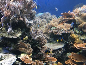 株式会社Gに投稿された画像（2020/8/18）