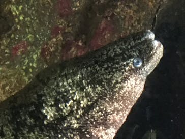 株式会社Gに投稿された画像（2020/8/18）