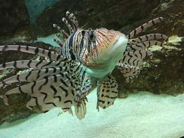 株式会社Gに投稿された画像（2020/8/18）