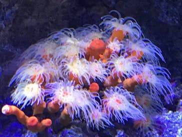 株式会社Gに投稿された画像（2020/8/18）