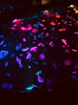 すみだ水族館に投稿された画像（2020/8/18）