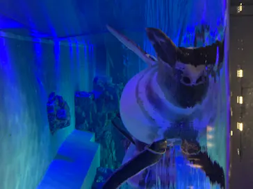 すみだ水族館に投稿された画像（2020/8/18）