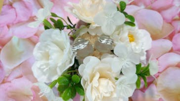 銀のイルカに投稿された画像（2020/8/18）