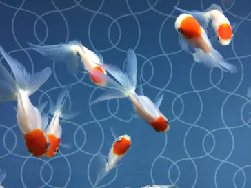 すみだ水族館に投稿された画像（2020/8/18）