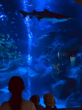 すみだ水族館に投稿された画像（2020/8/18）