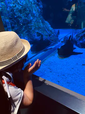 すみだ水族館に投稿された画像（2020/8/18）