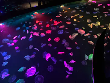 すみだ水族館に投稿された画像（2020/8/18）