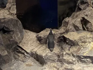 すみだ水族館に投稿された画像（2020/8/18）