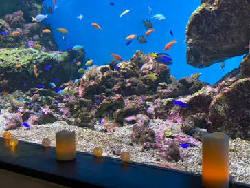 仙台うみの杜水族館に投稿された画像（2020/8/18）