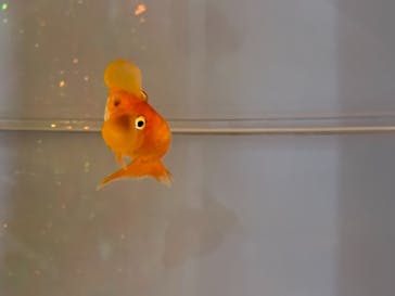 サンシャイン水族館に投稿された画像（2020/8/18）