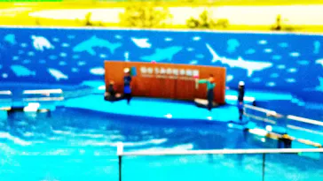 仙台うみの杜水族館に投稿された画像（2020/8/18）