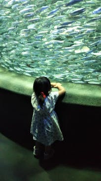 サンシャイン水族館に投稿された画像（2020/8/19）