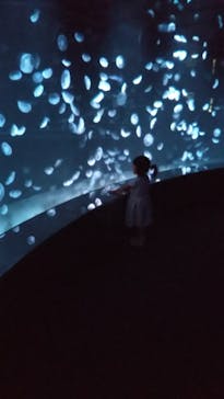 サンシャイン水族館に投稿された画像（2020/8/19）