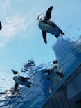 サンシャイン水族館に投稿された画像（2020/8/19）