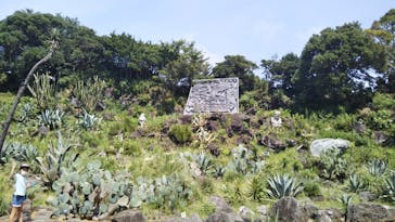 伊豆シャボテン動物公園に投稿された画像（2020/8/19）