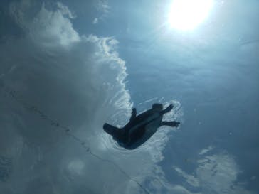 サンシャイン水族館に投稿された画像（2020/8/19）