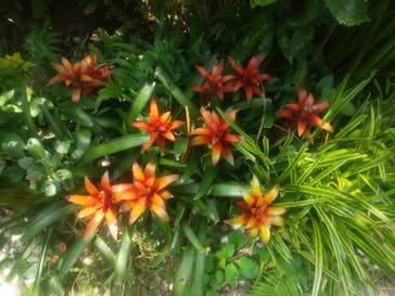 サンシャイン水族館に投稿された画像（2020/8/19）