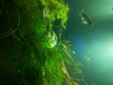 サンシャイン水族館に投稿された画像（2020/8/19）