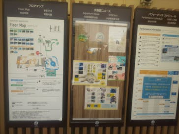 サンシャイン水族館に投稿された画像（2020/8/19）