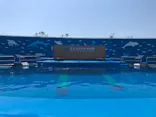 仙台うみの杜水族館に投稿された画像（2020/8/19）