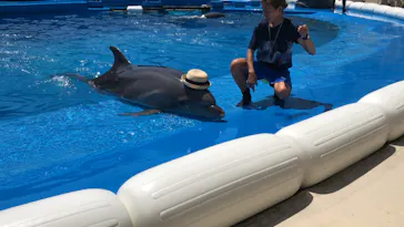 仙台うみの杜水族館に投稿された画像（2020/8/19）