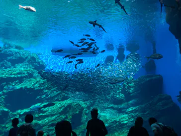 仙台うみの杜水族館に投稿された画像（2020/8/19）