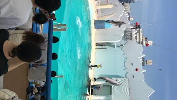 株式会社Gに投稿された画像（2020/8/19）