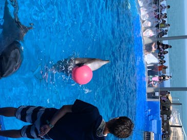 大分マリーンパレス水族館 「うみたまご」に投稿された画像（2020/8/19）