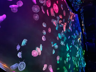 すみだ水族館に投稿された画像（2020/8/19）