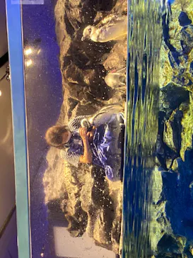 すみだ水族館に投稿された画像（2020/8/19）