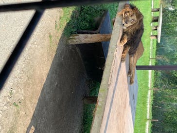 那須サファリパークに投稿された画像（2020/8/19）