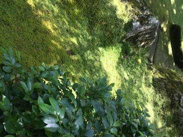 箱根美術館に投稿された画像（2020/8/19）