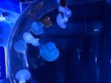 すみだ水族館に投稿された画像（2020/8/19）
