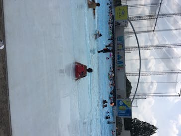 よみうりランド 遊園地に投稿された画像（2020/8/19）