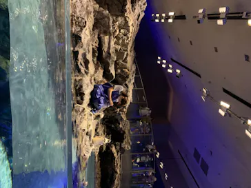 すみだ水族館に投稿された画像（2020/8/19）