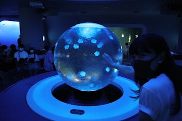 新江ノ島水族館に投稿された画像（2020/8/19）