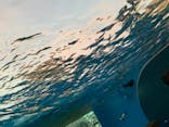 サンシャイン水族館に投稿された画像（2020/8/19）