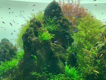 すみだ水族館に投稿された画像（2020/8/19）