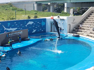 仙台うみの杜水族館に投稿された画像（2020/8/19）