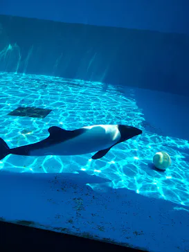 仙台うみの杜水族館に投稿された画像（2020/8/19）